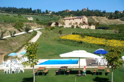 Girando per Cantine